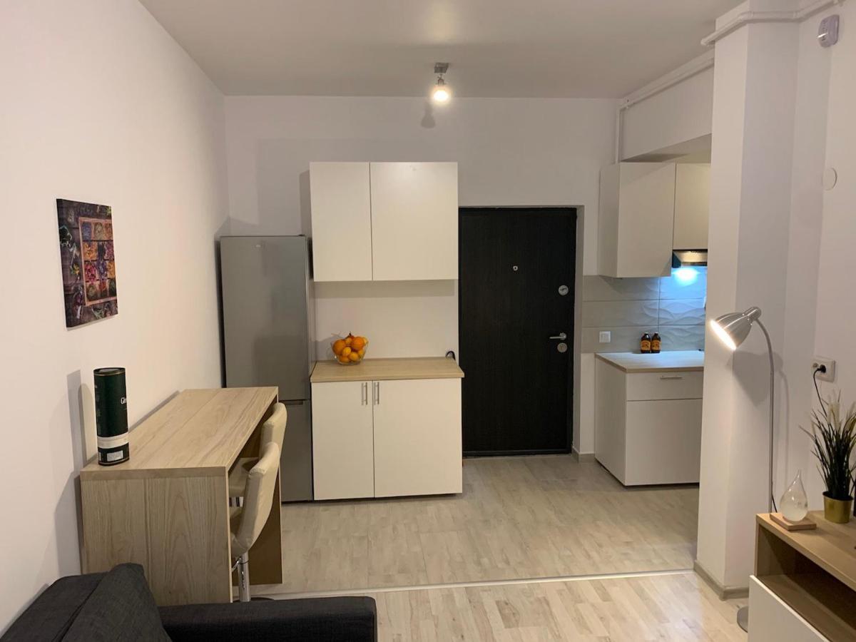 Ray Luxury Apartment Close To Presidential Palace Bukares Bagian luar foto